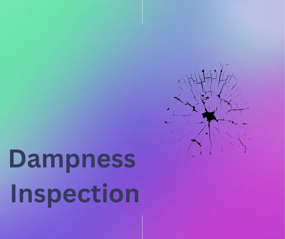 Dampness Inspection
